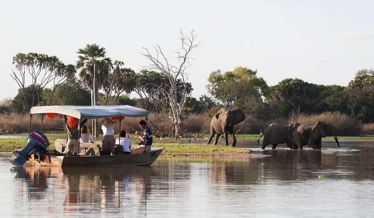 Nyerere National Park wetlands