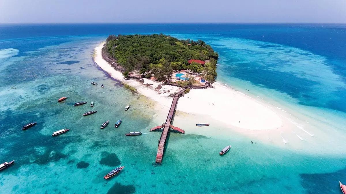 Vista aerea di una piccola isola boscosa di Zanzibar con una spiaggia di sabbia bianca e un molo in legno