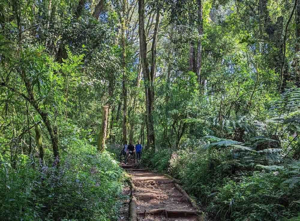 Mweka Camp 帐篷