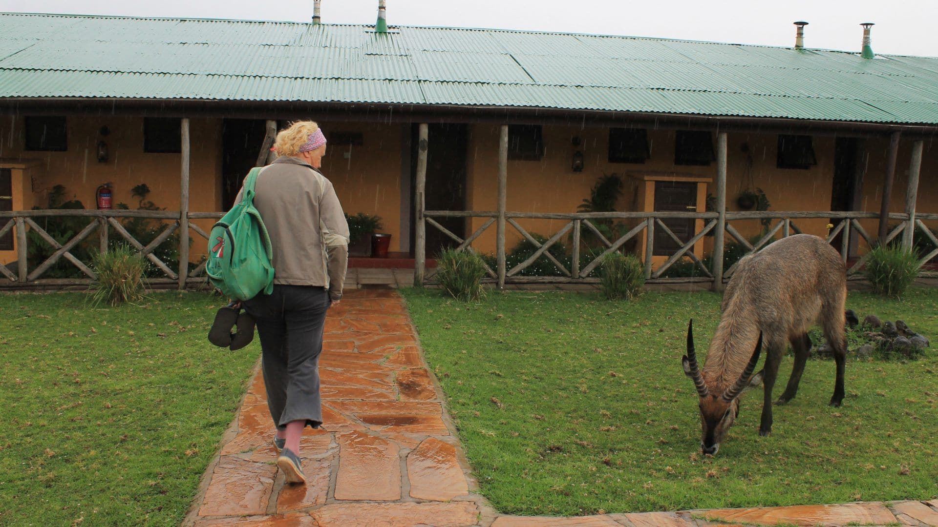 Ngorongoro Rhino Lodge