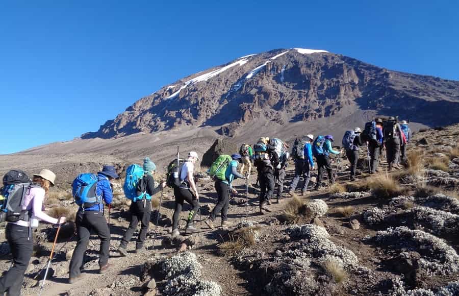 Grupo de excursionistas caminando hacia el Monte Kilimanjaro