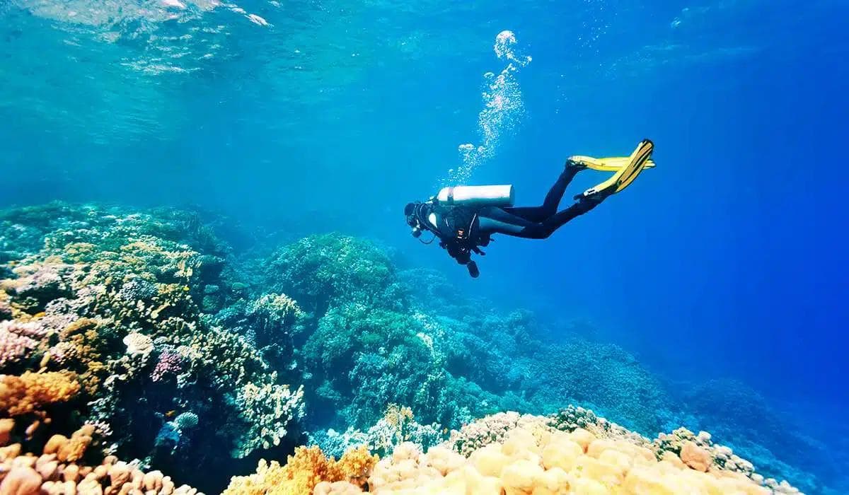 Sub che esplora una vibrante barriera corallina nelle acque cristalline al largo di Zanzibar