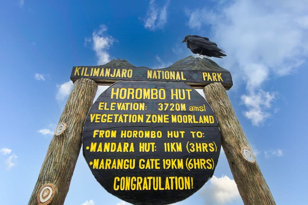 Horombo Hut