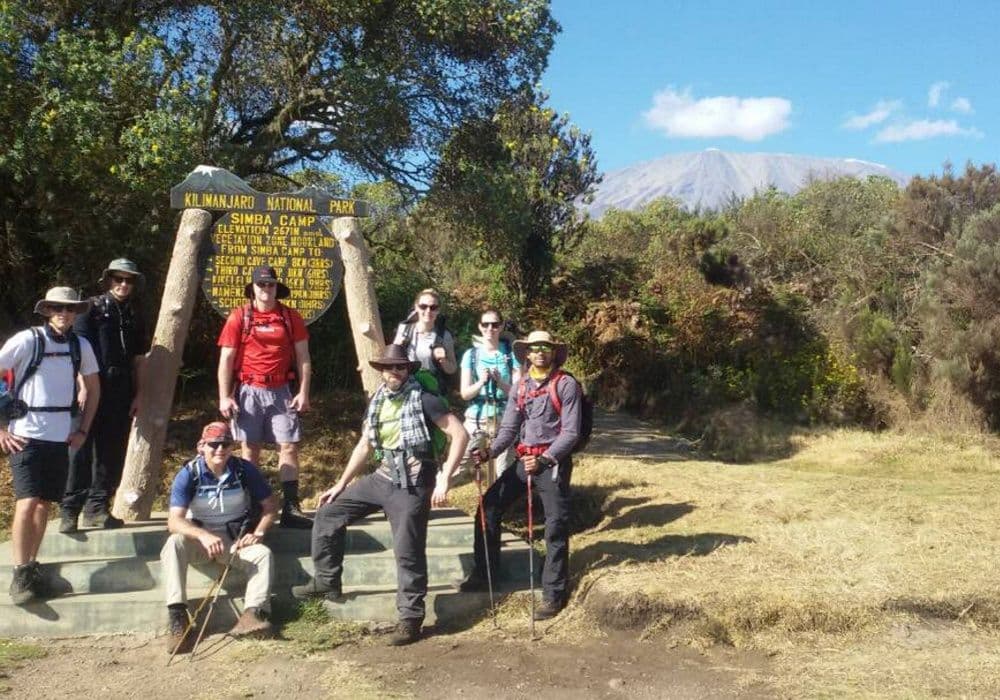 Simba Camp