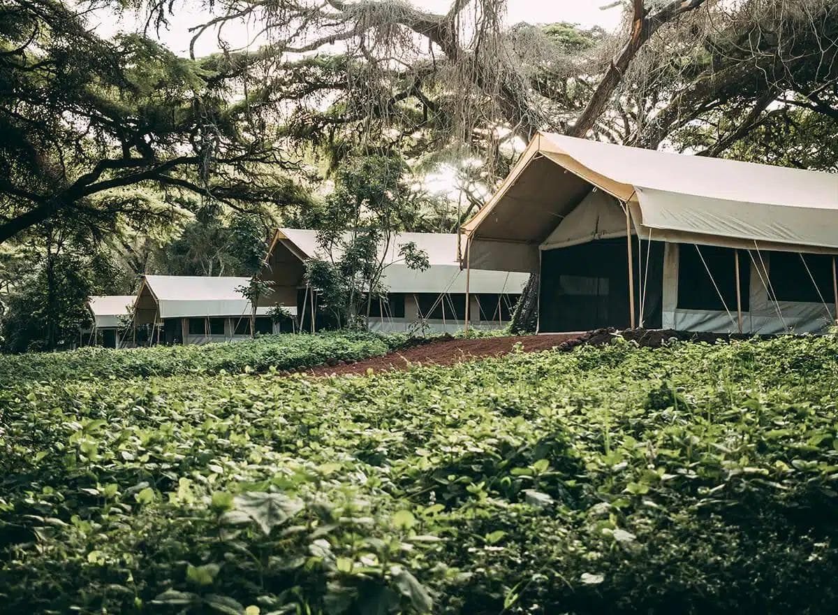 Lodge di lusso con piscina a sfioro che si affaccia sul Serengeti al crepuscolo