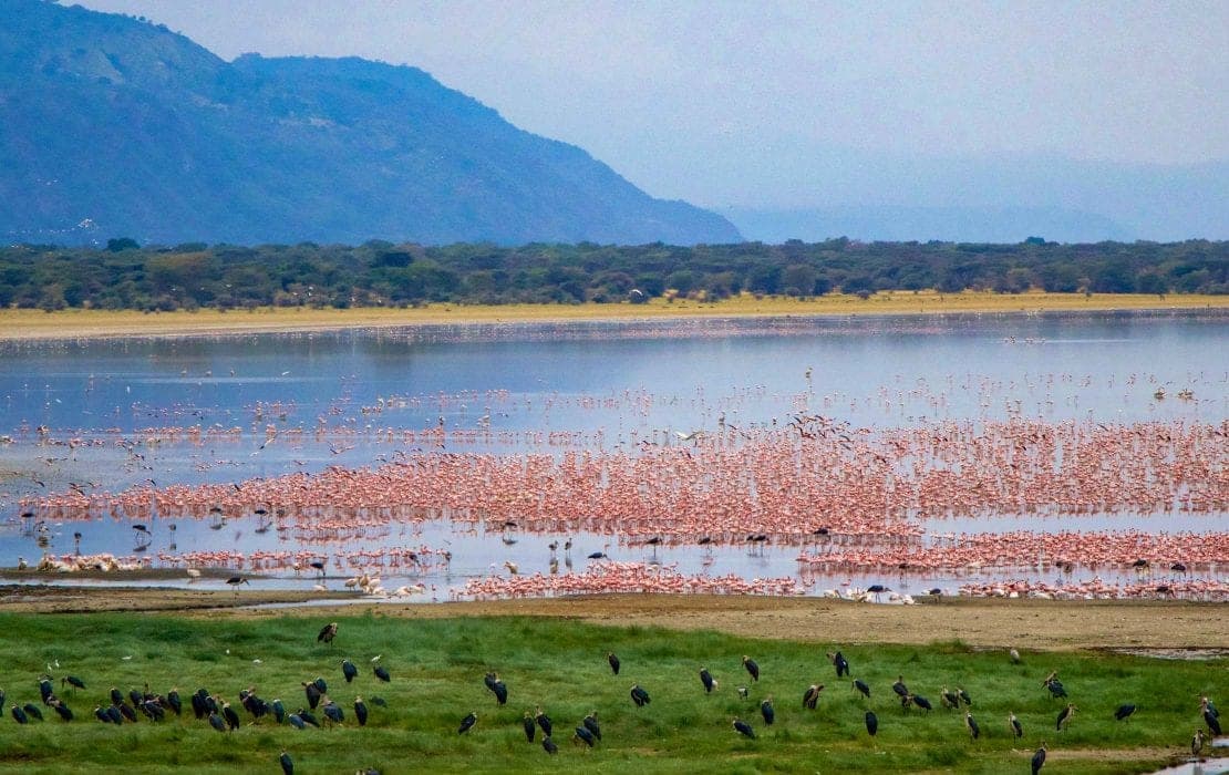 Lake-Manyara-Nationalpark